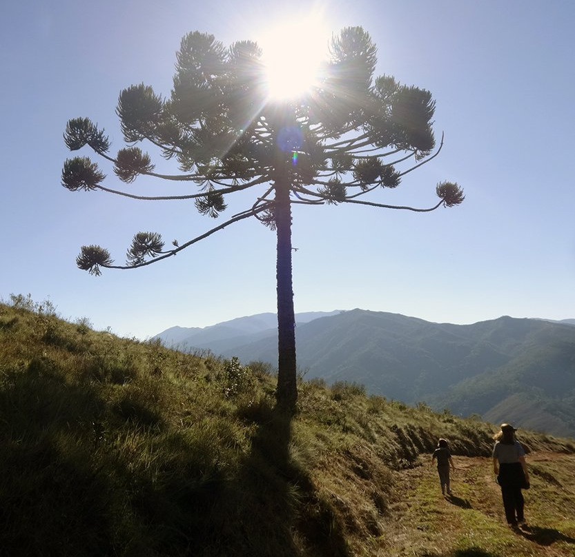 Cachoeira da Fragaria-Itamonte必去景点