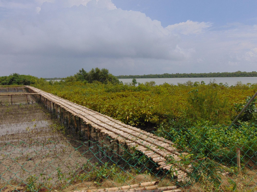 Sundarban旅游攻略图片