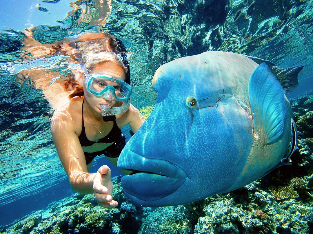 梦幻丽礁号-凯恩斯必去景点