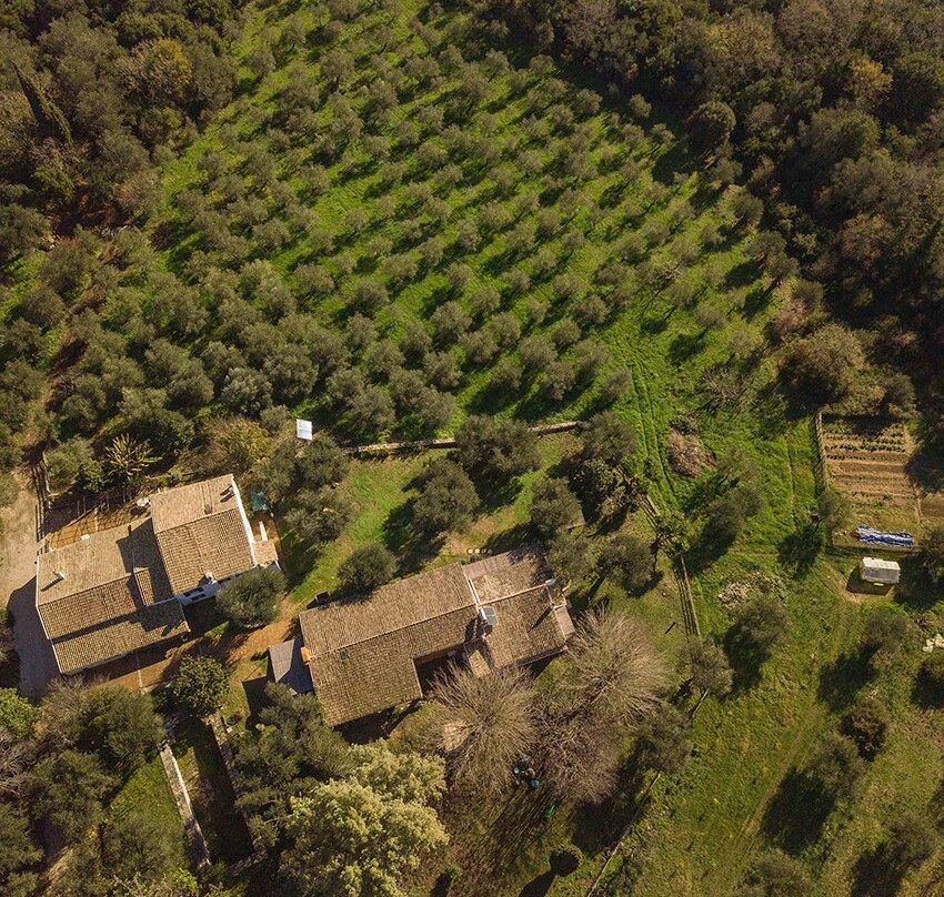 Dr. Kavvadia's Organic Farm景点图片