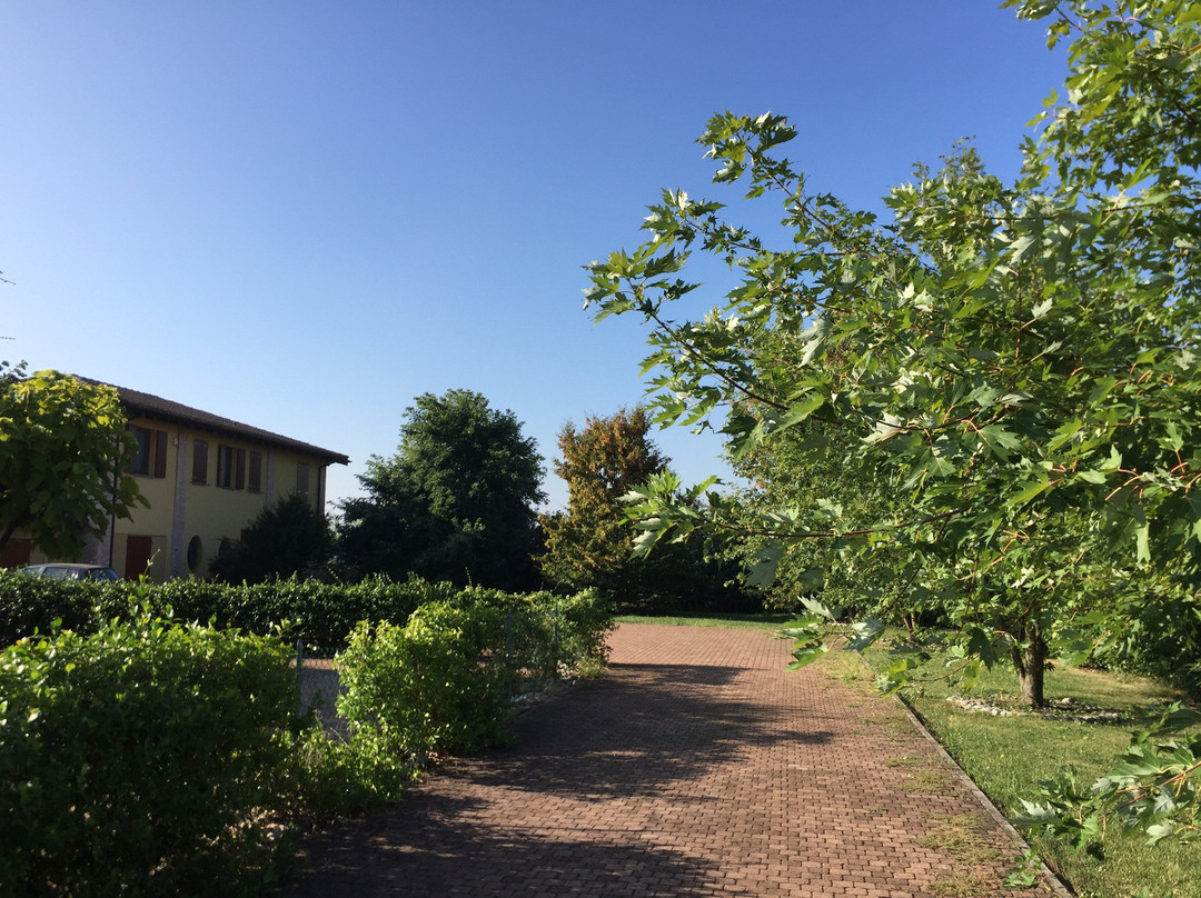 B&B Oasi