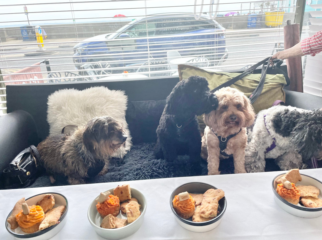 DOG&CO DOG FRIENDLY COFFEE SHOP