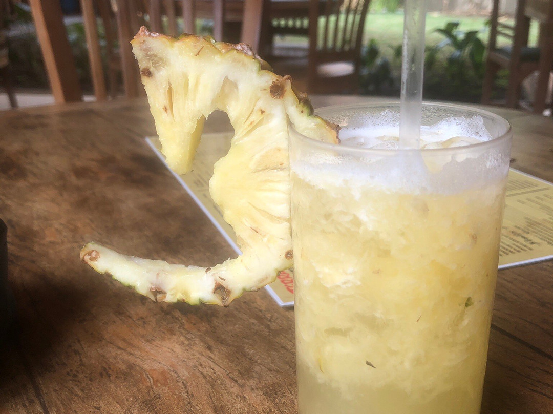 Terra Boa旅游攻略图片