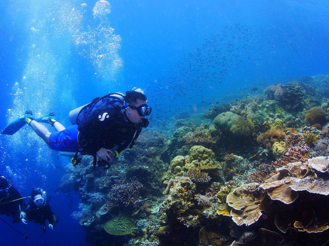 Blue Revival Diving-邦劳岛必去景点