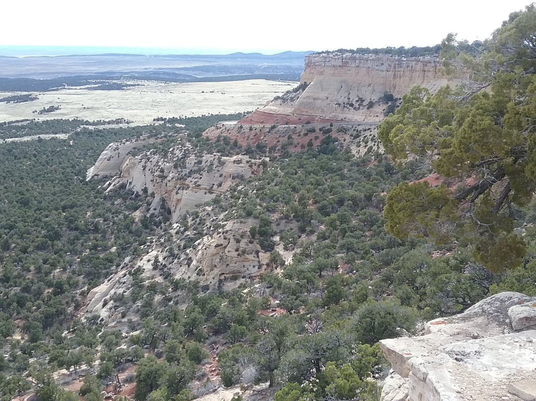 Plug Hat Trail-Dinosaur必去景点