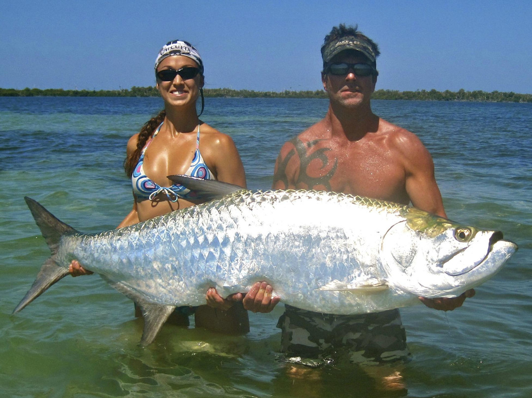 Tenacity Guide Service-开普科勒尔必去景点