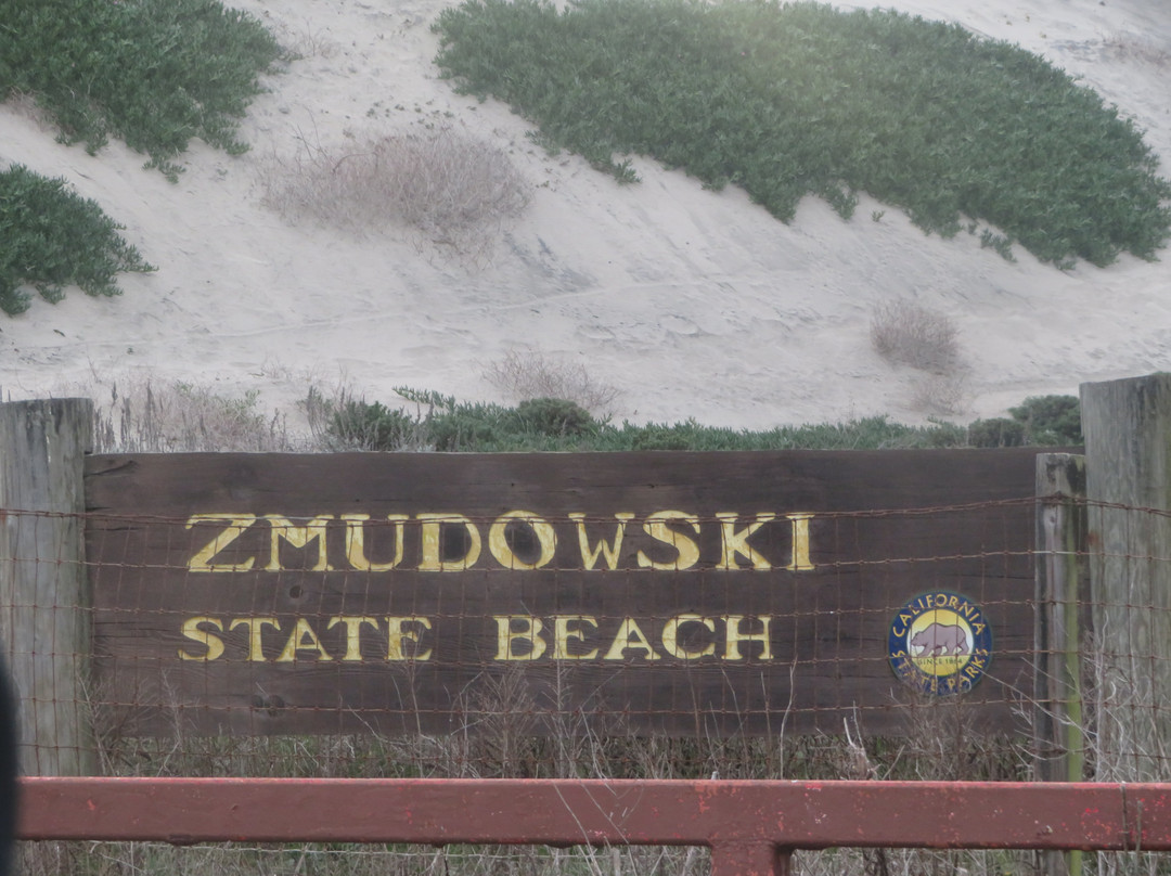 Zmudowski State Beach景点图片