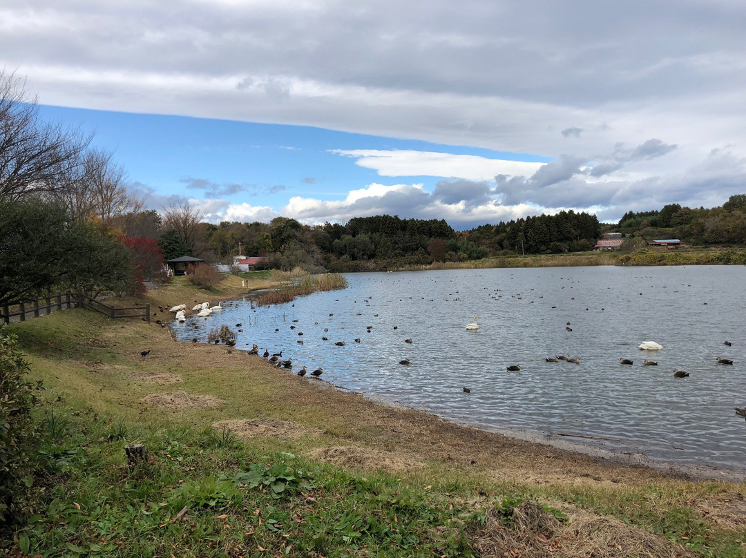太田原市旅游景点-Handa Swamp