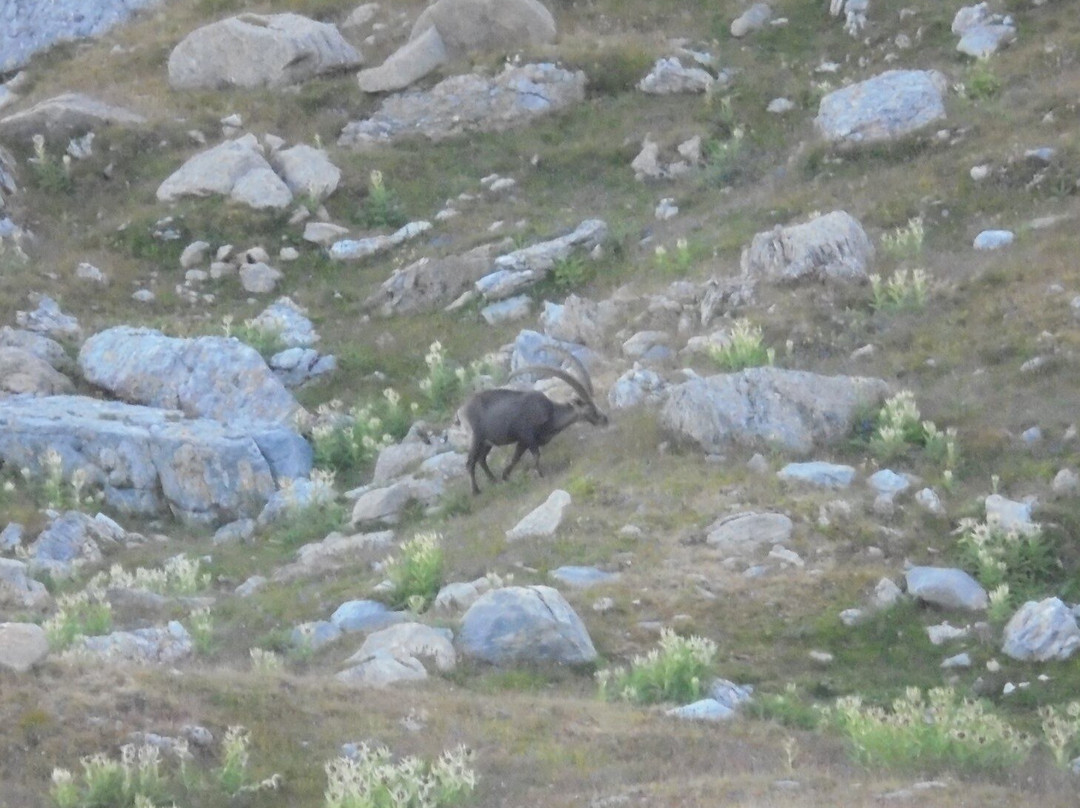 Refuge du Presset