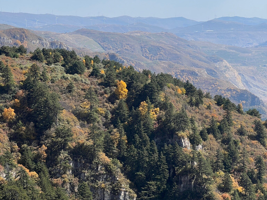 恒山森林公园-浑源县必去景点