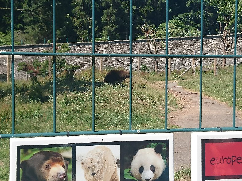 Camperdown Wildlife Centre景点图片