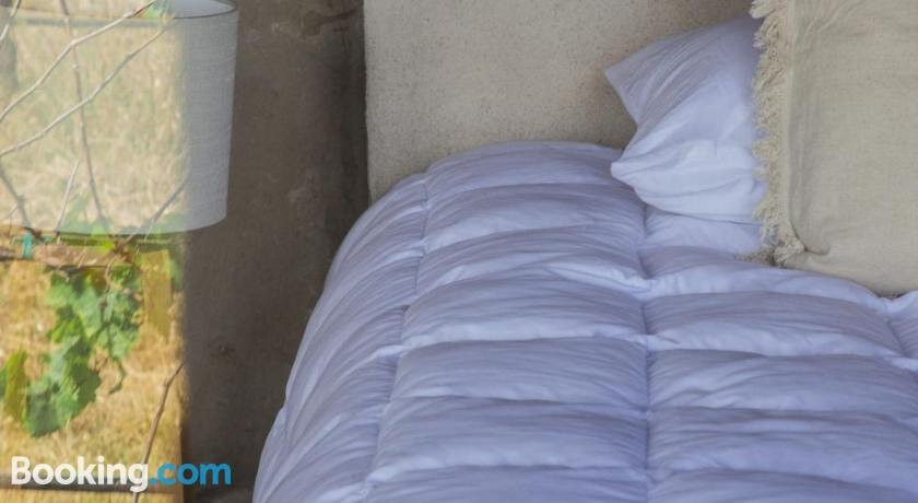 Viñedo Tierra de Alonso主图