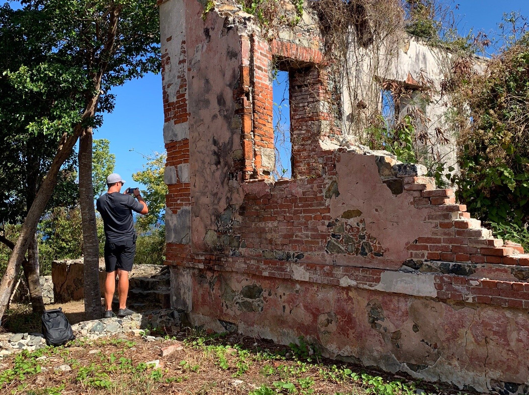 Cinnamon Bay Nature Trail-维尔京群岛国家公园必去景点