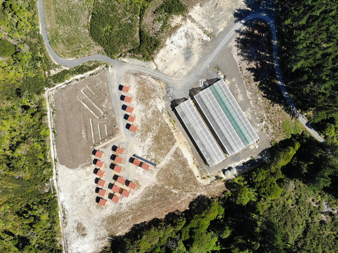 Earth Village New Zealand景点图片