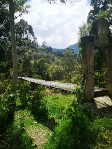 Charta旅游攻略图片