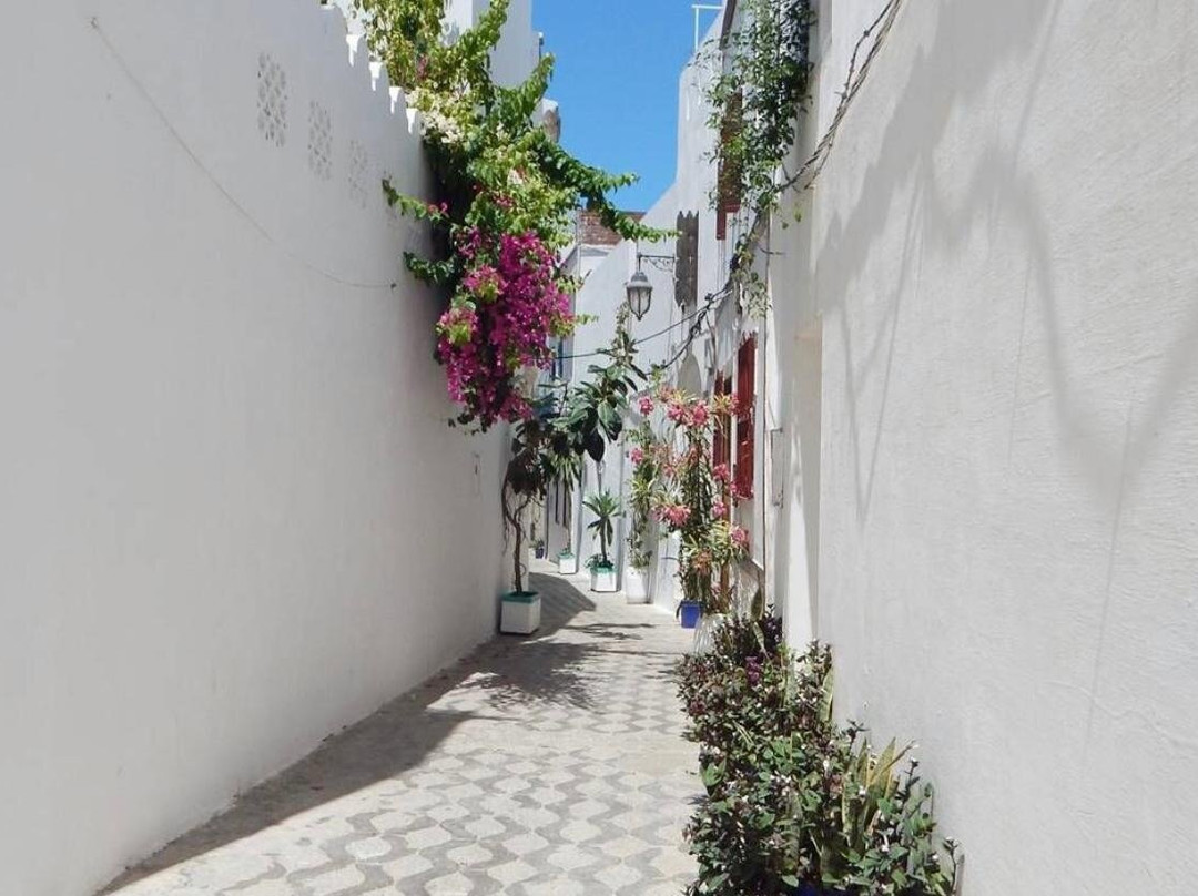 Tangier Private Trips-丹吉尔必去景点