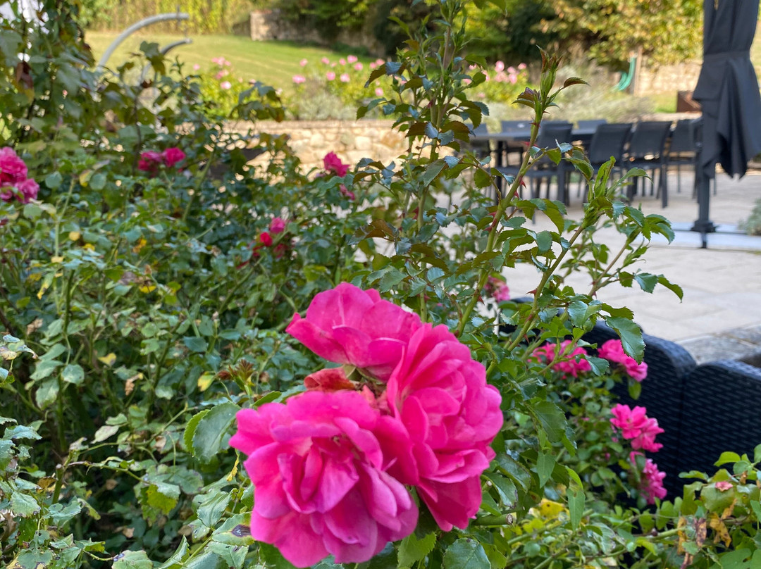 Wauchope餐馆和美食-A Classy Cafe & Espresso Bar