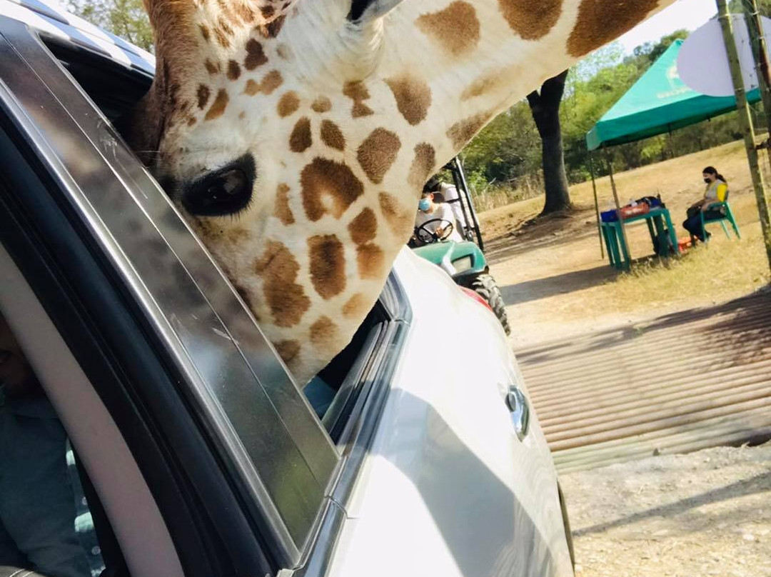 Paseos Monterrey-蒙特雷必去景点