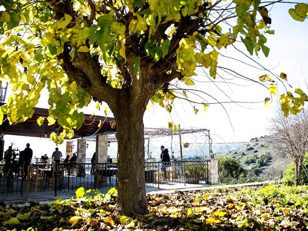 Tsangarides Winery-帕福斯必去景点