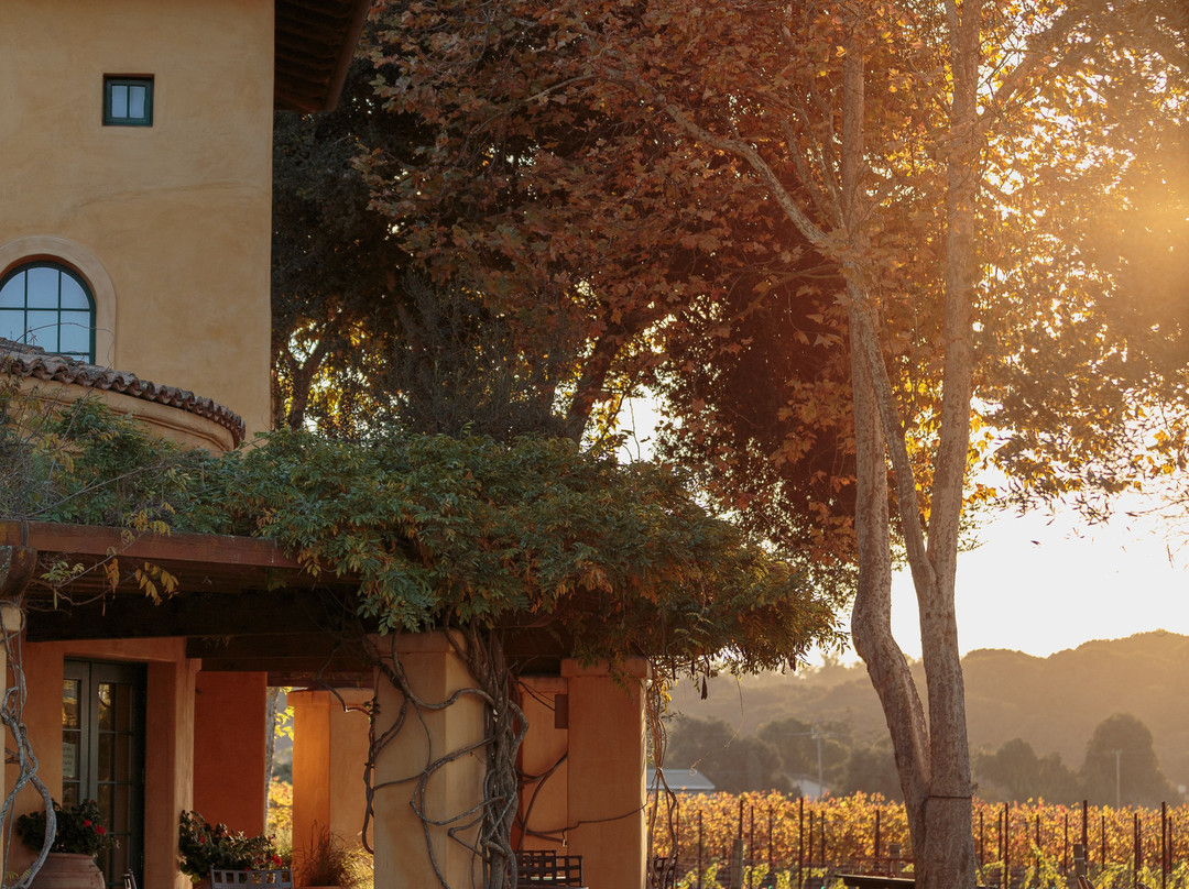 Melville Winery-隆波克必去景点