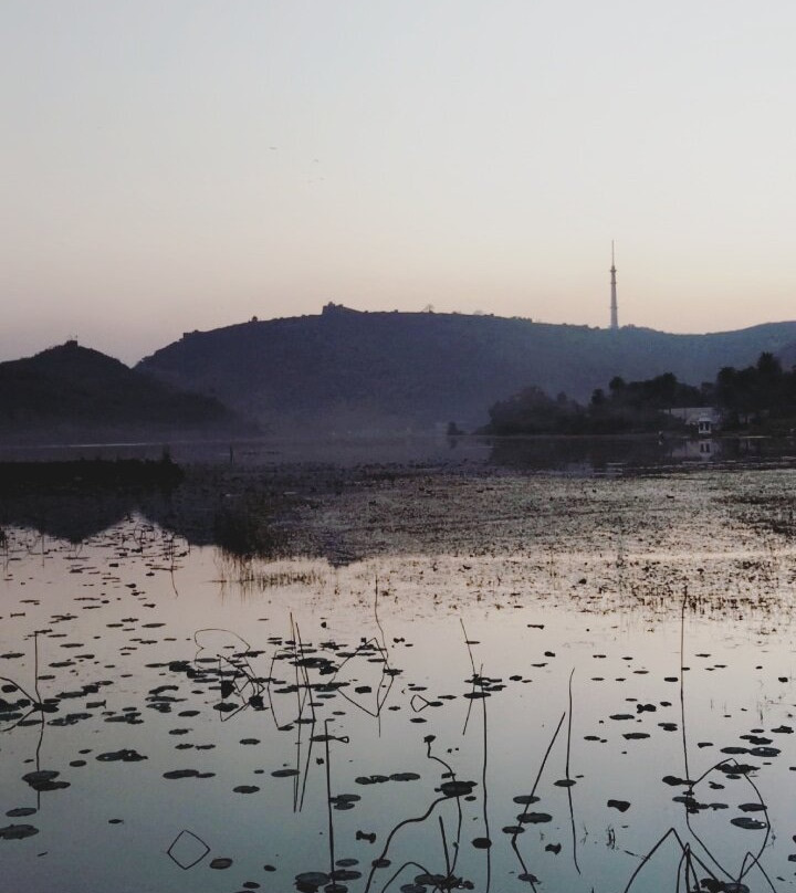 The Ummaid Bagh Resort主图