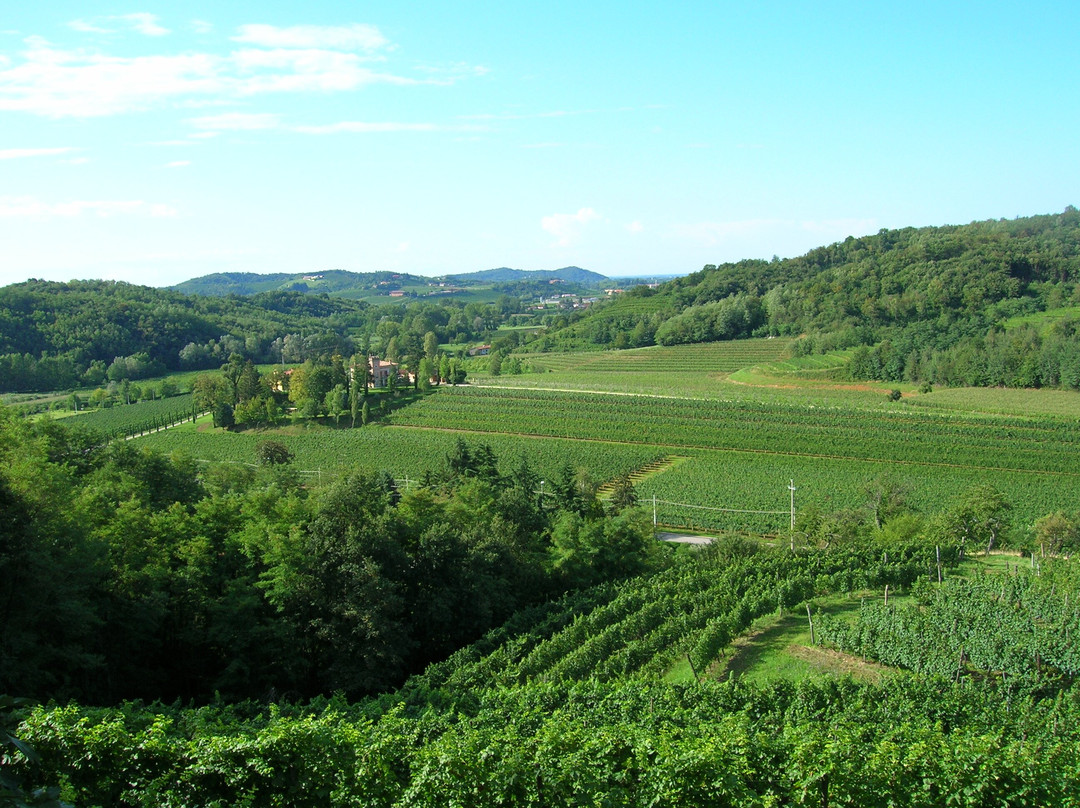 Flaibani Winery景点图片
