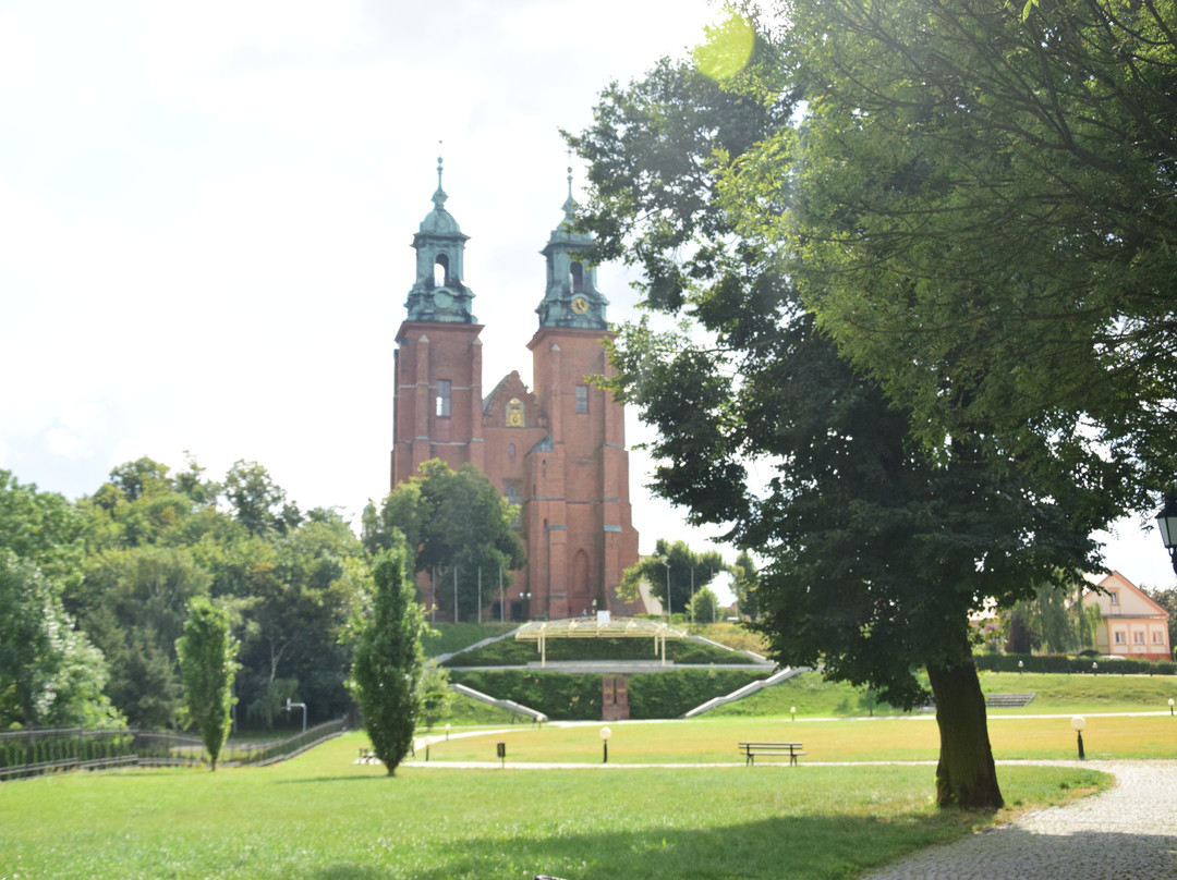 The Basilica of the Assumption of the Blessed Virgin Mary景点图片