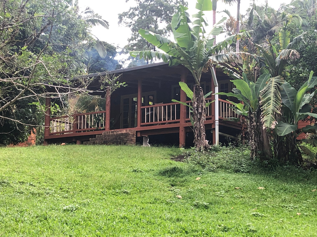 Black Sheep Farm主图