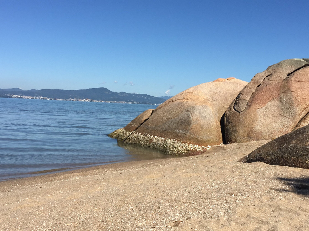 Suites Com Vista Panoramica De Florianopolis主图