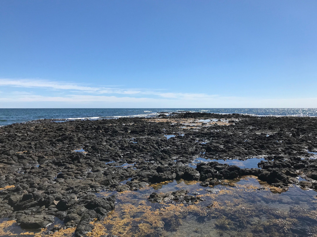 Johnsons Beach-企鹅岛必去景点