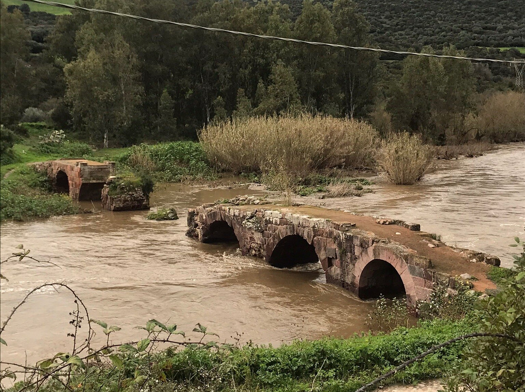 Ponte Romano ( Ponti Ecciu )-Allai必去景点