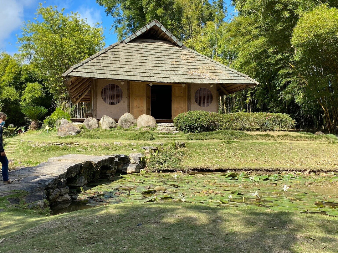 Jardin Botanico Lankester景点图片