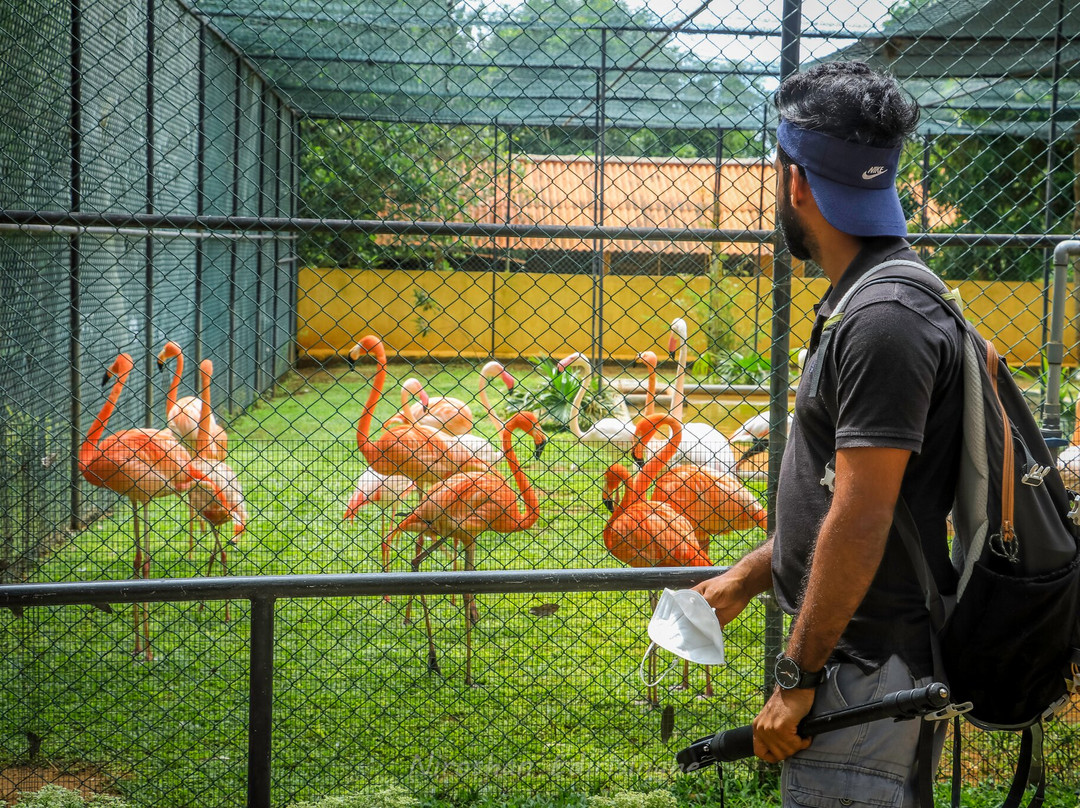 Birds Research Center & Resort景点图片