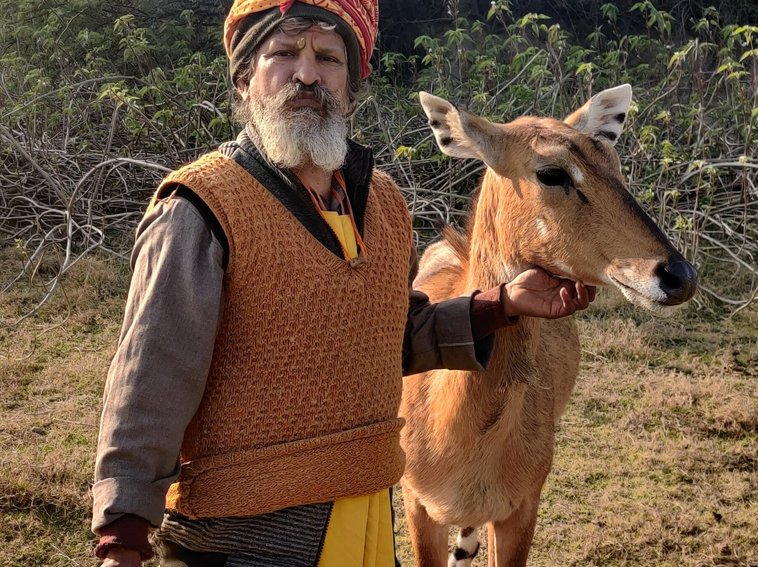 Hotel Sanawar View主图