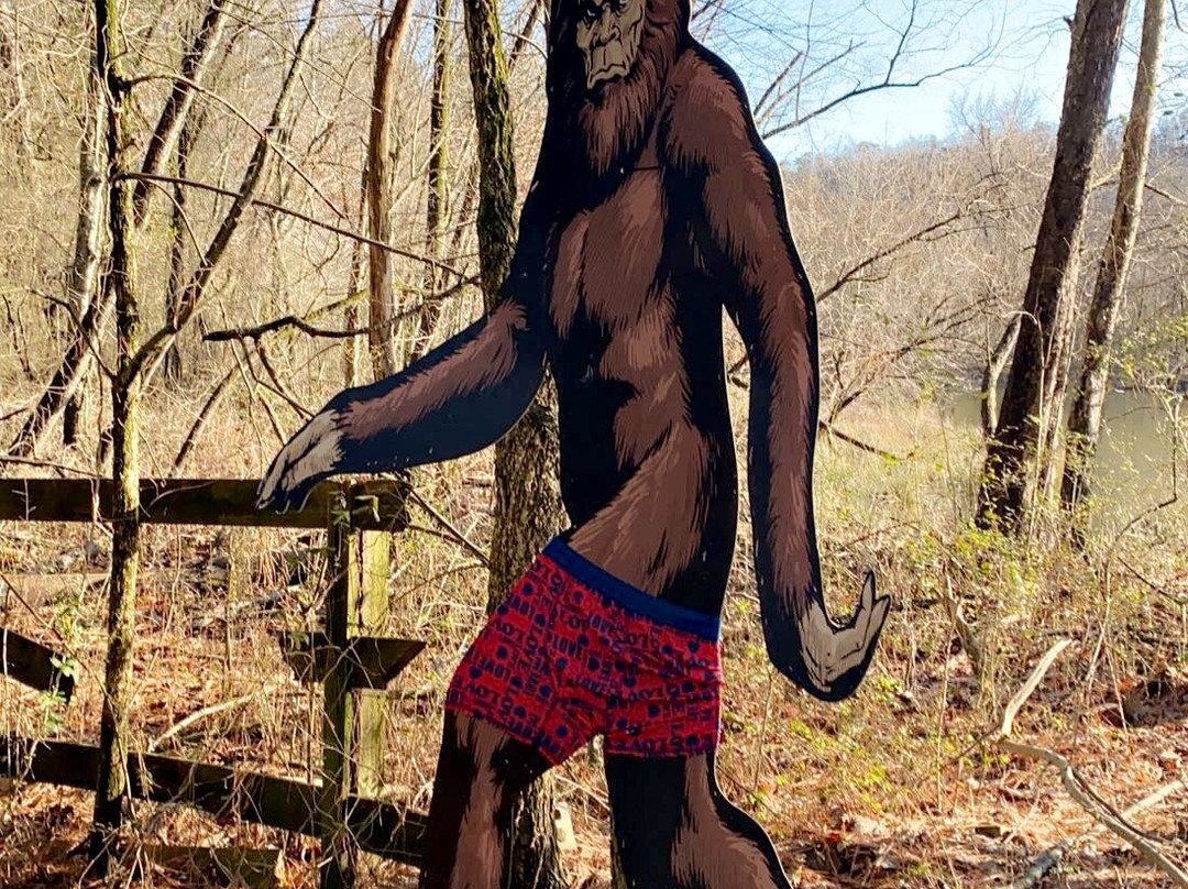 Haig Mill Lake Park-多尔顿必去景点