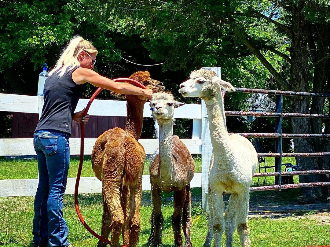 Kay’s Acres-Suffolk必去景点