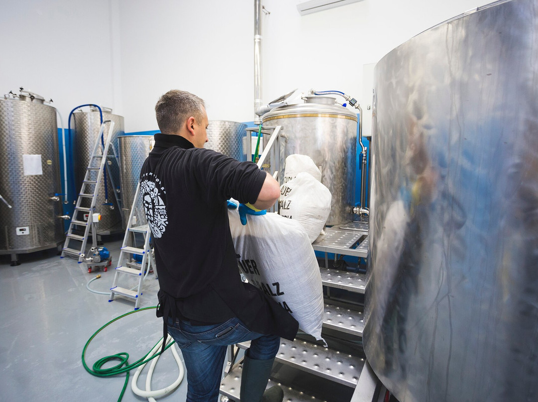 Bura Brew Istrian Craft Beer-波雷奇必去景点