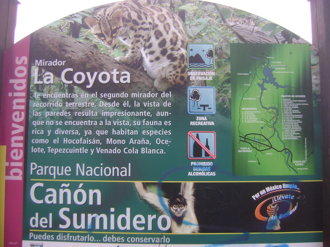 Miradores Cañón del Sumidero景点图片