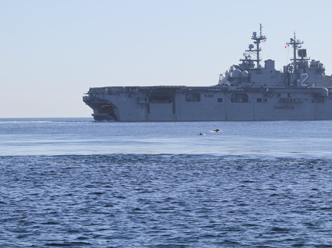 Oceanside Adventures-欧申赛德必去景点