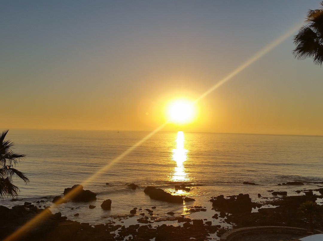 Las Rosas Hotel & Spa主图