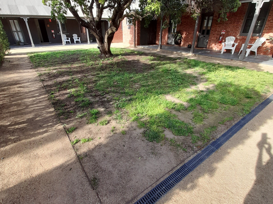 The Houston Wagga主图