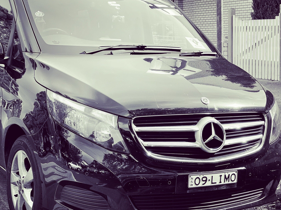 Black Bow Chauffeur-布里斯班必去景点