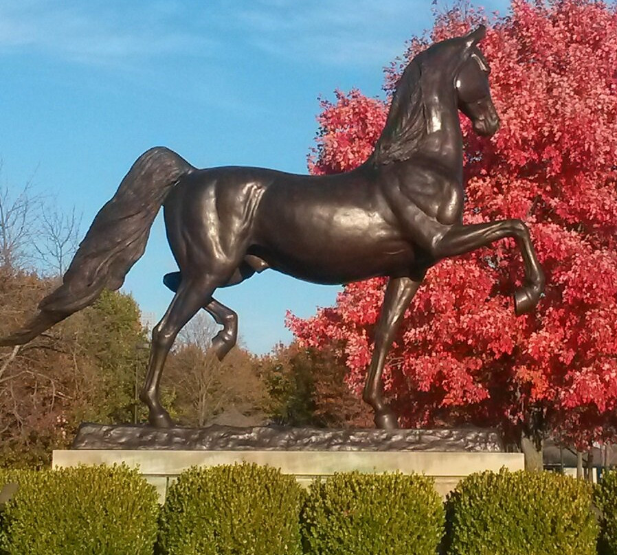 American Saddlebred Museum-列克星敦必去景点