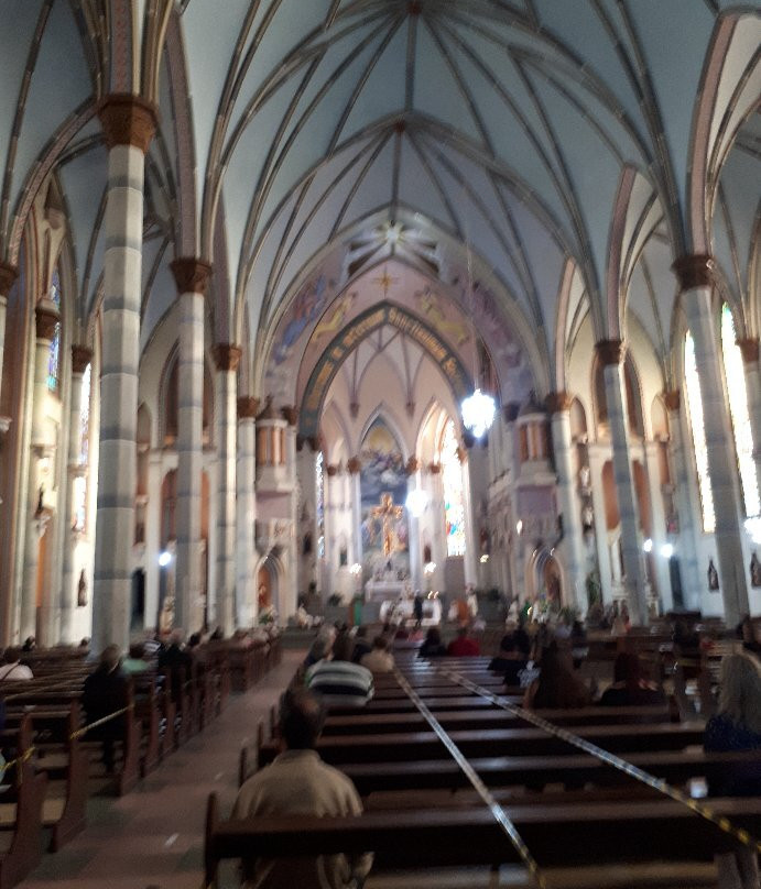 Catedral Sao Joao Batista景点图片