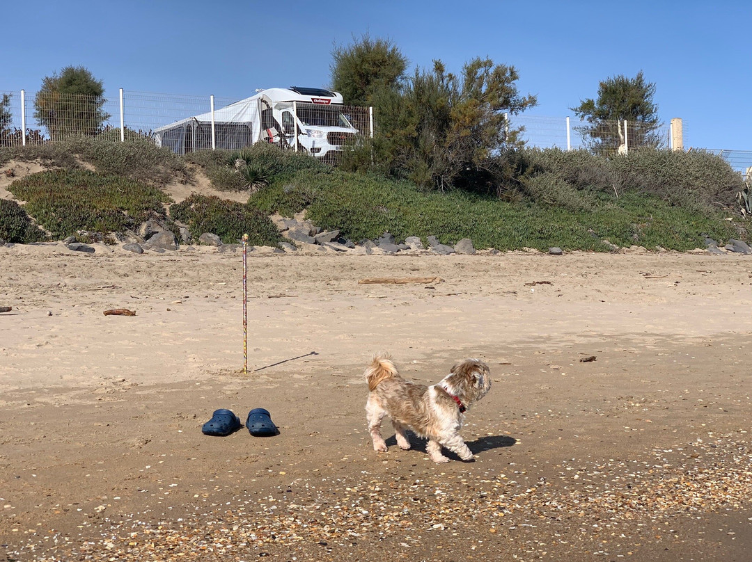 Camping La Plage主图