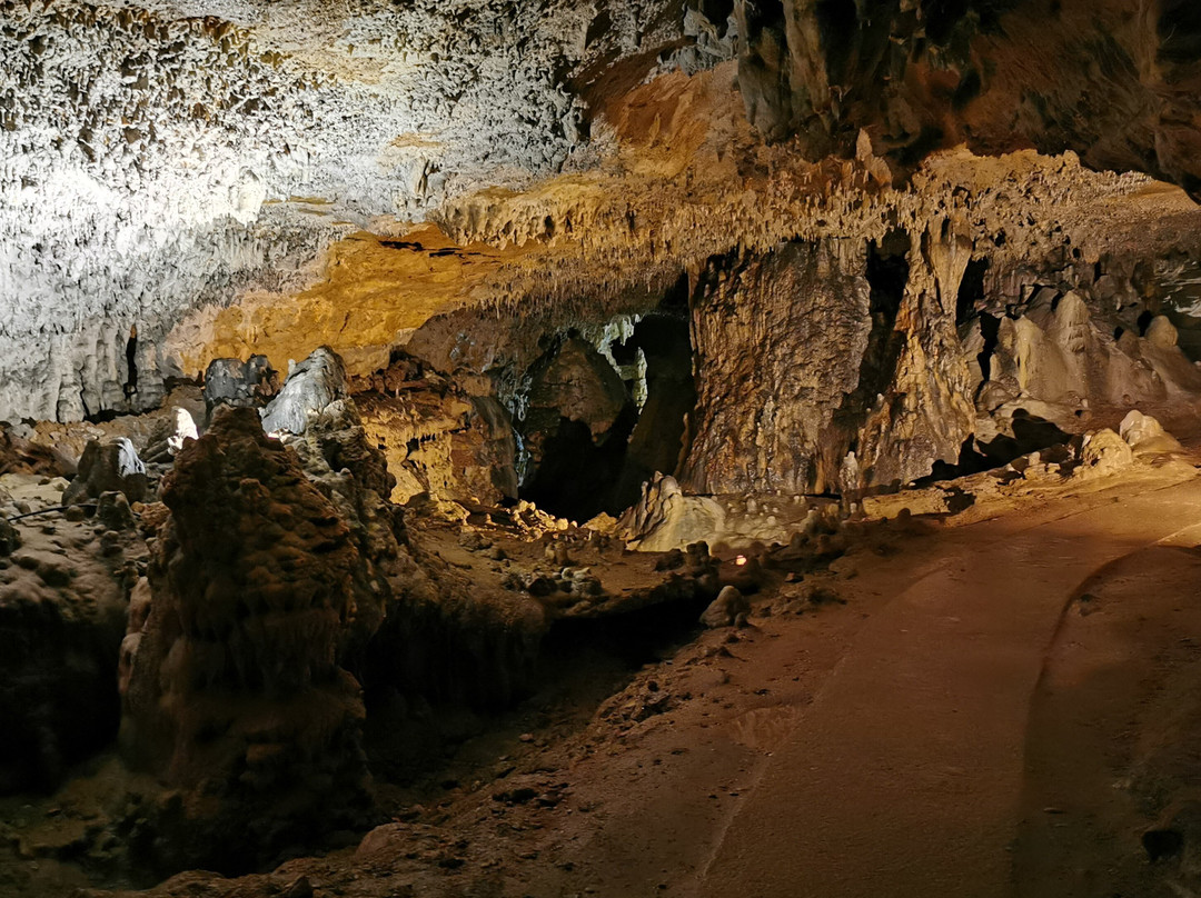 Grottes d'Arcy-sur-Cure景点图片