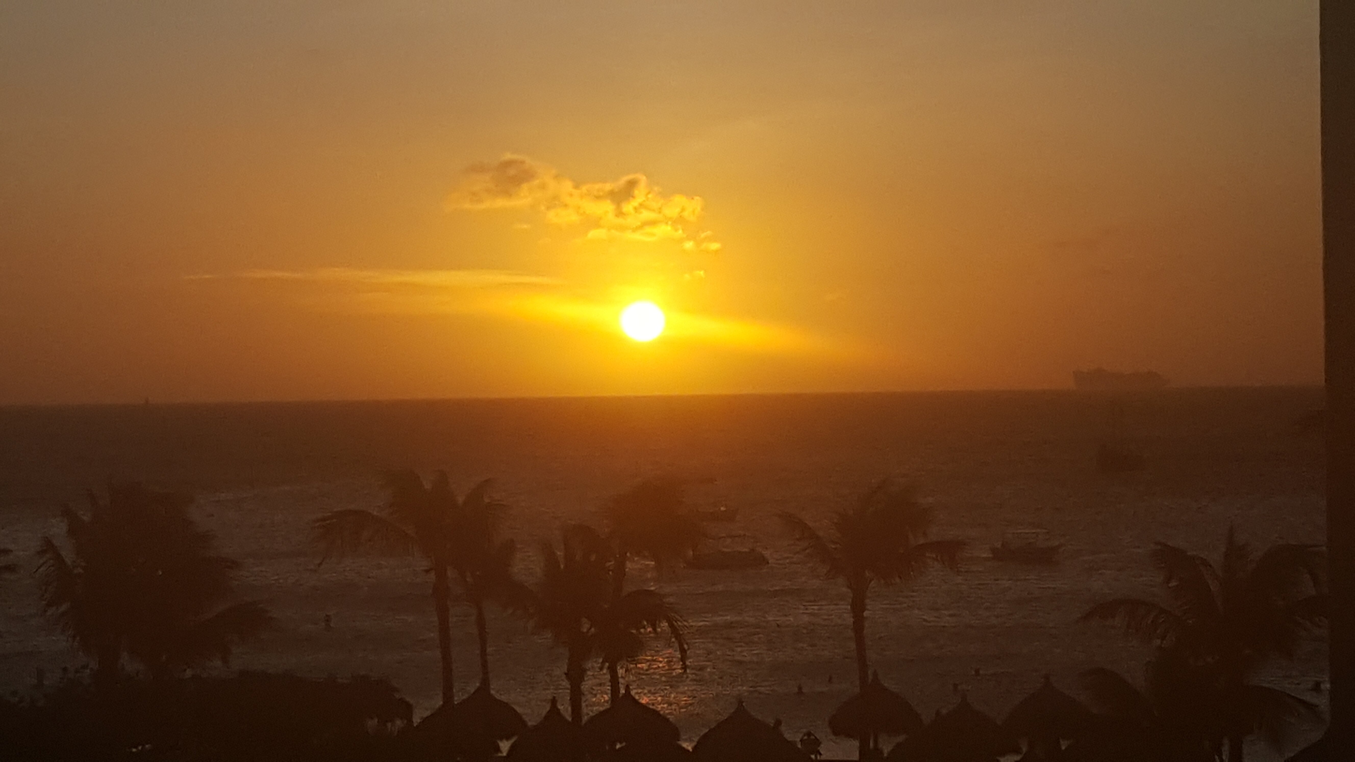 Marriott's Aruba Ocean Club-酒店景观