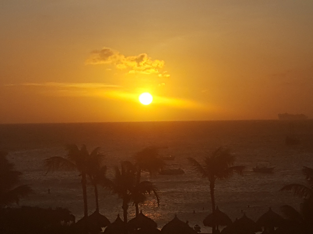 Marriott's Aruba Ocean Club主图