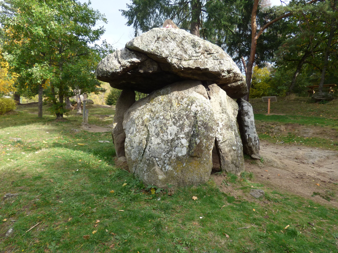 Parc du Dolmen景点图片