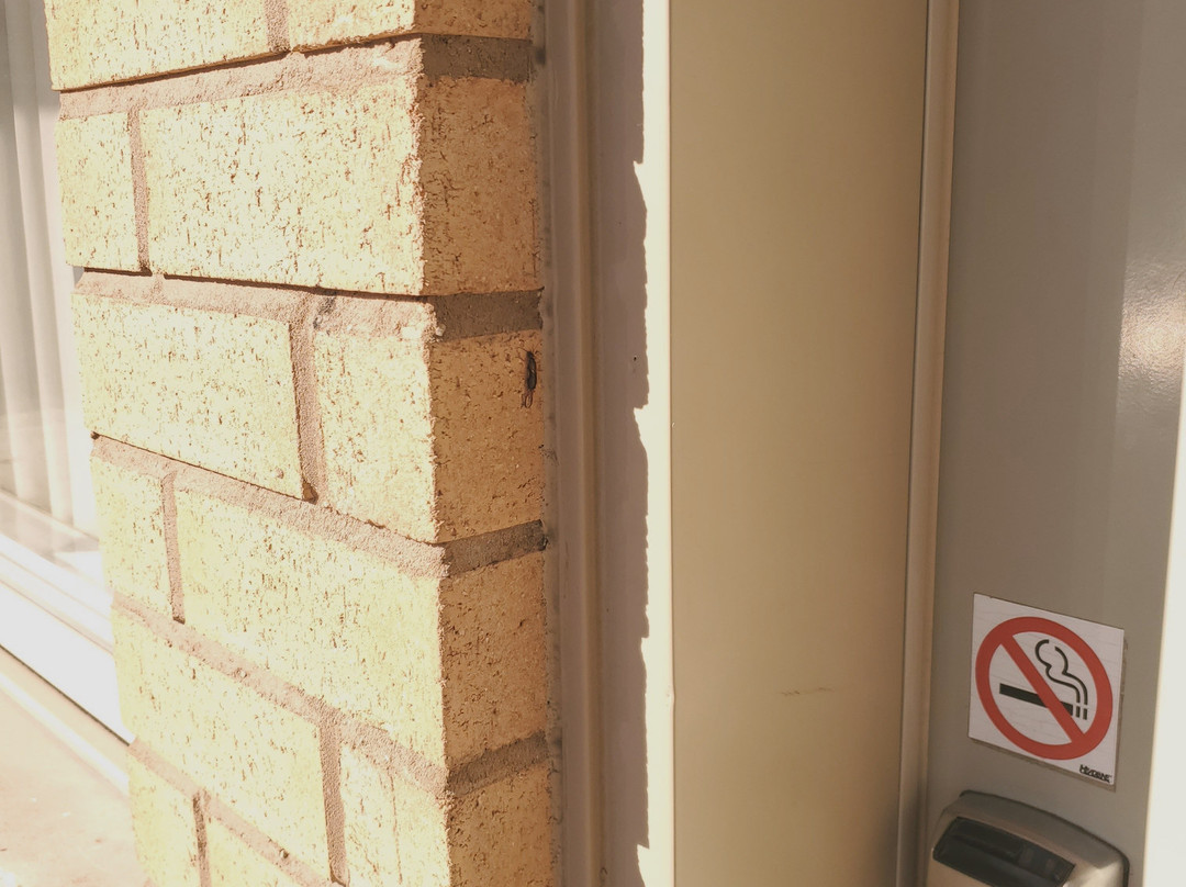 Hotel-Motel Drummond主图